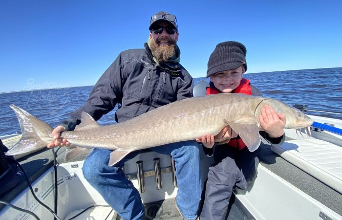 fishing report lake of the woods south shore nw angle rainy river stureon