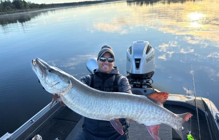 lake of the woods
