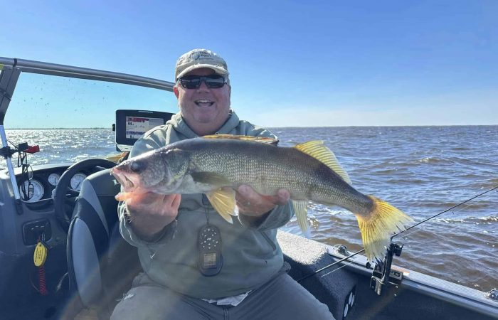 Nice walleye in private boat_Ships Wheel Resort_092924