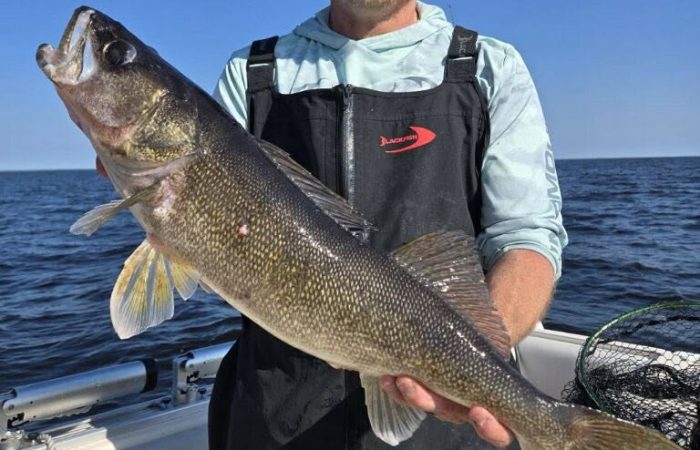 fishing report lake of the woods south shore rainy river nw angle walleye