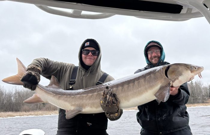 fishing report lake of the woods south shore rainy river sturgeon