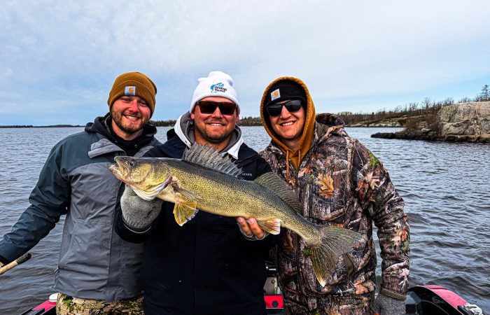 fishing report walleye lake of the woods south shore nw angle rainy river