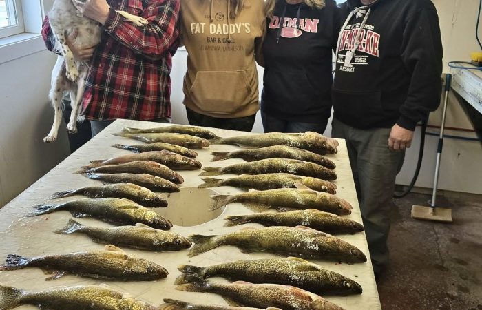 fishing report lake of the woods mn rainy river walleye