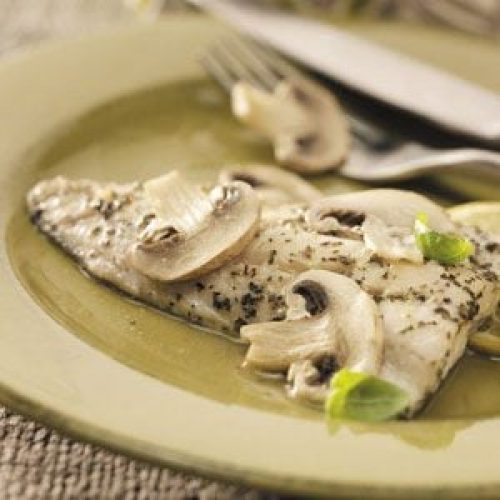 Walleye Lake of the Woods MN a Delight