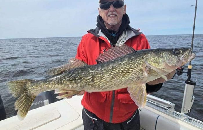 fishing report south shore nw angle rainy river walleye