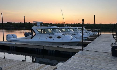 charter-boats-at-dock-passenger-service