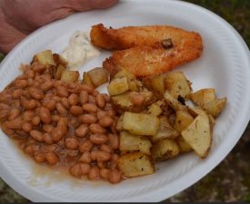 shore lunch walleye sauger lake of the woods